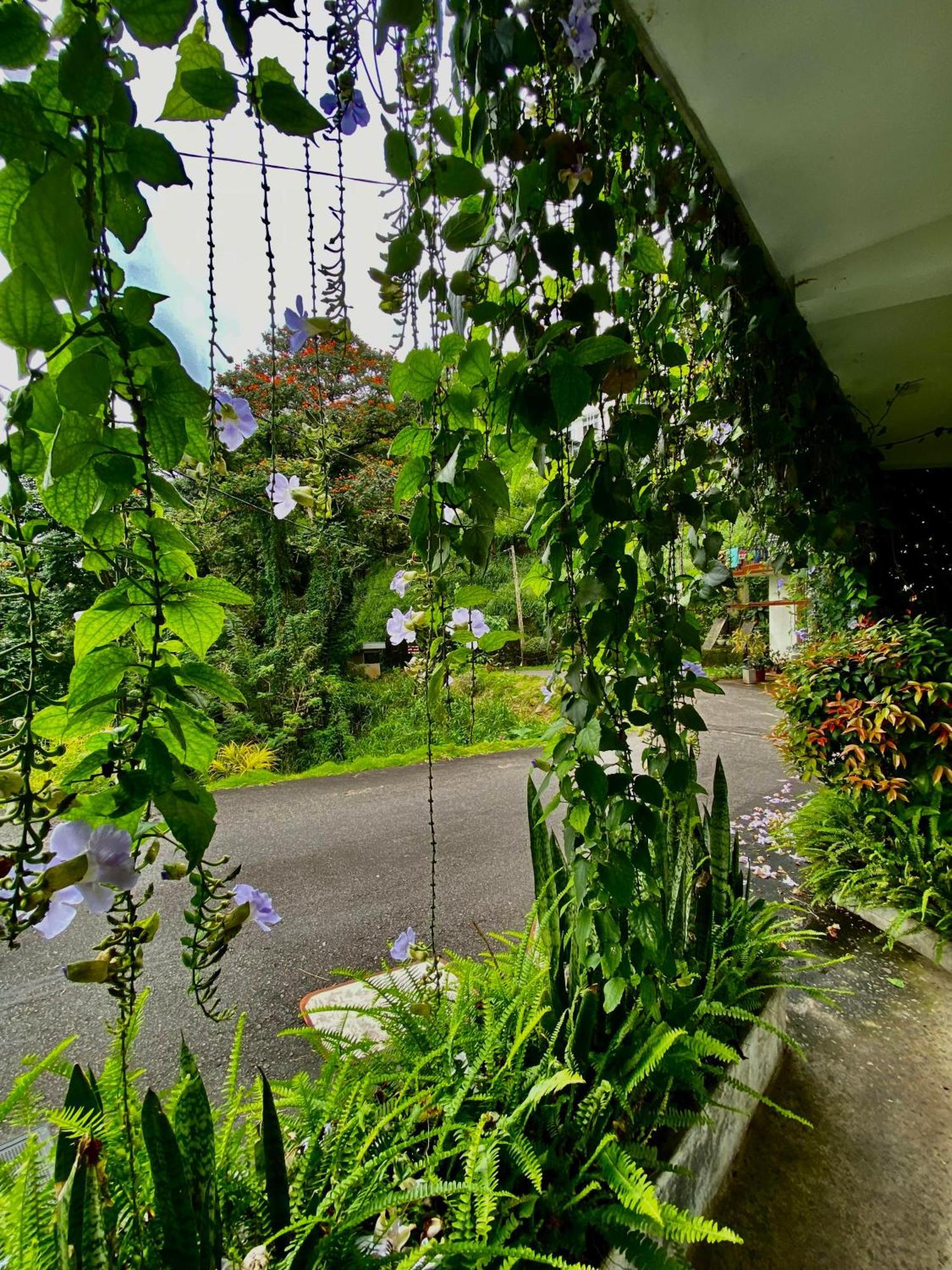 Hotel Sesatha Lake Kandy Exteriér fotografie